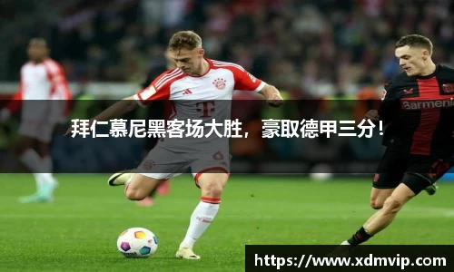杏耀登录