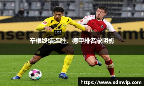 辛根终结连胜，德甲排名蒙阴影