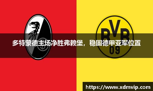 多特蒙德主场净胜弗赖堡，稳固德甲亚军位置