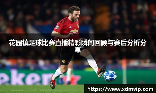 花园镇足球比赛直播精彩瞬间回顾与赛后分析分享