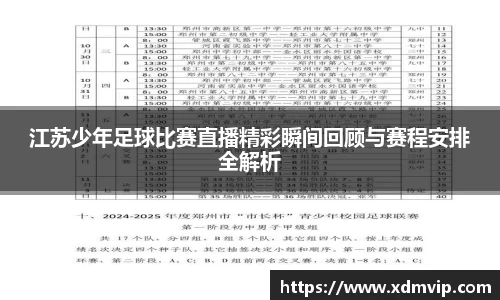 江苏少年足球比赛直播精彩瞬间回顾与赛程安排全解析