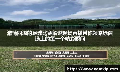 激情四溢的足球比赛解说现场直播带你领略绿茵场上的每一个精彩瞬间